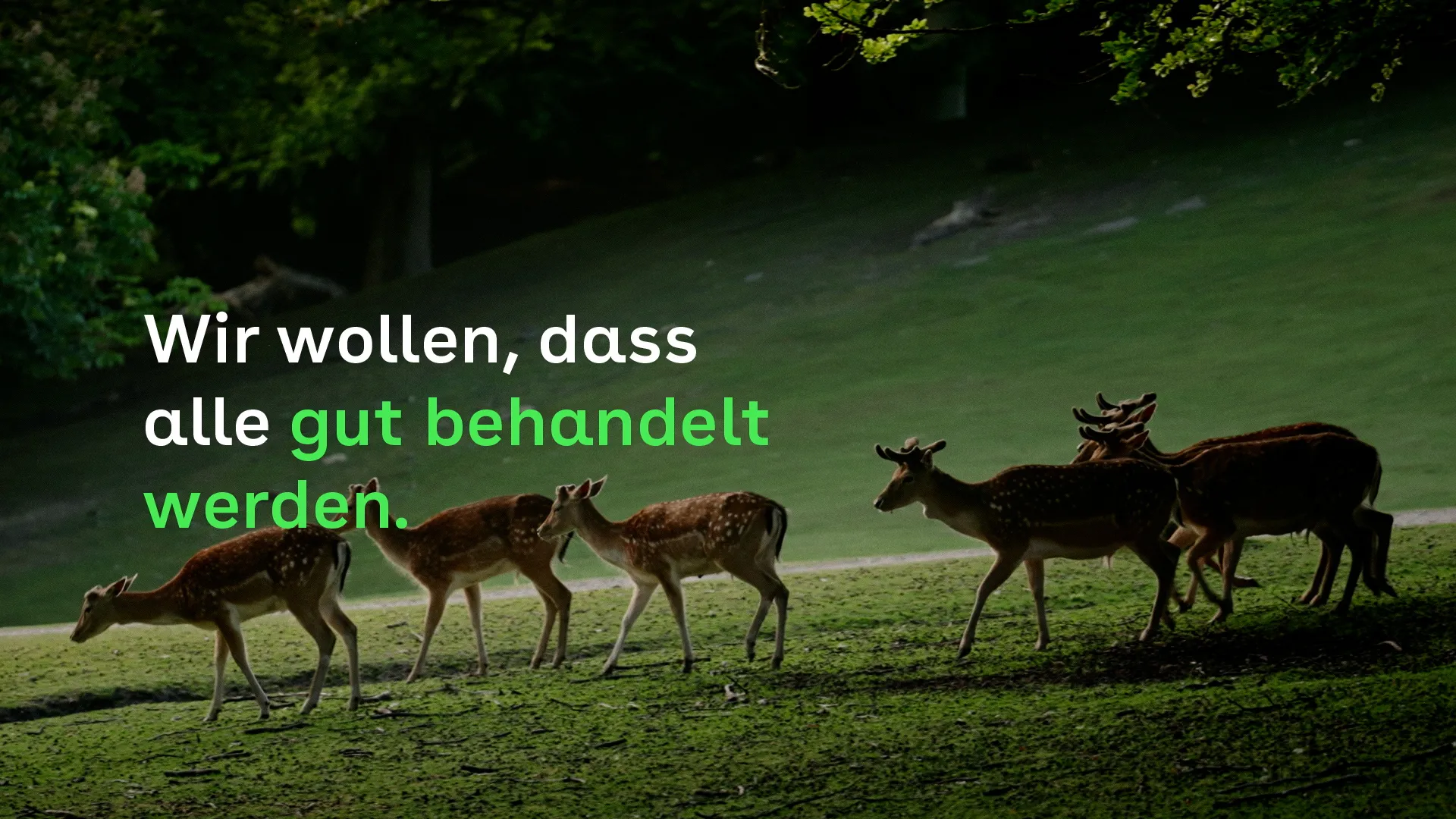 AOK Für eine gesunde Gesellschaft